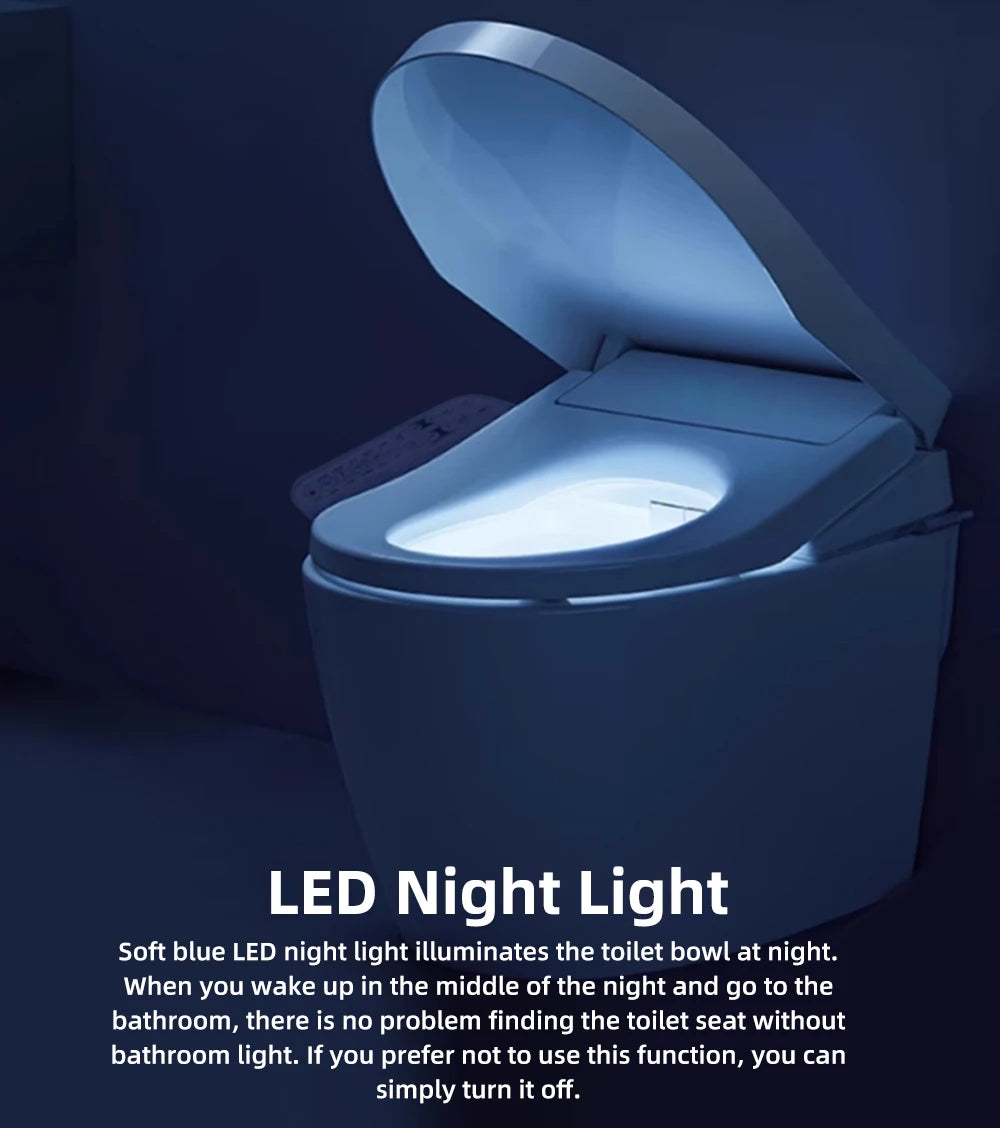 Smart Bidet Toilet Seat Heated Dryer Remote Night Light