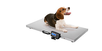 Digital Livestock Scale 1100lb Stainless Steel Pet Vet Scale